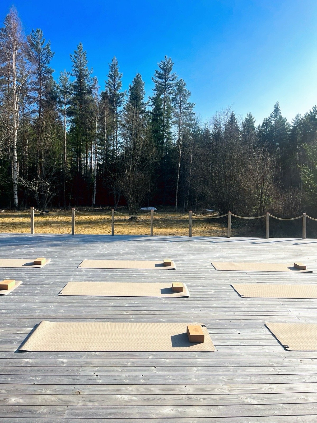 Yoga with Camilla i Stockholm