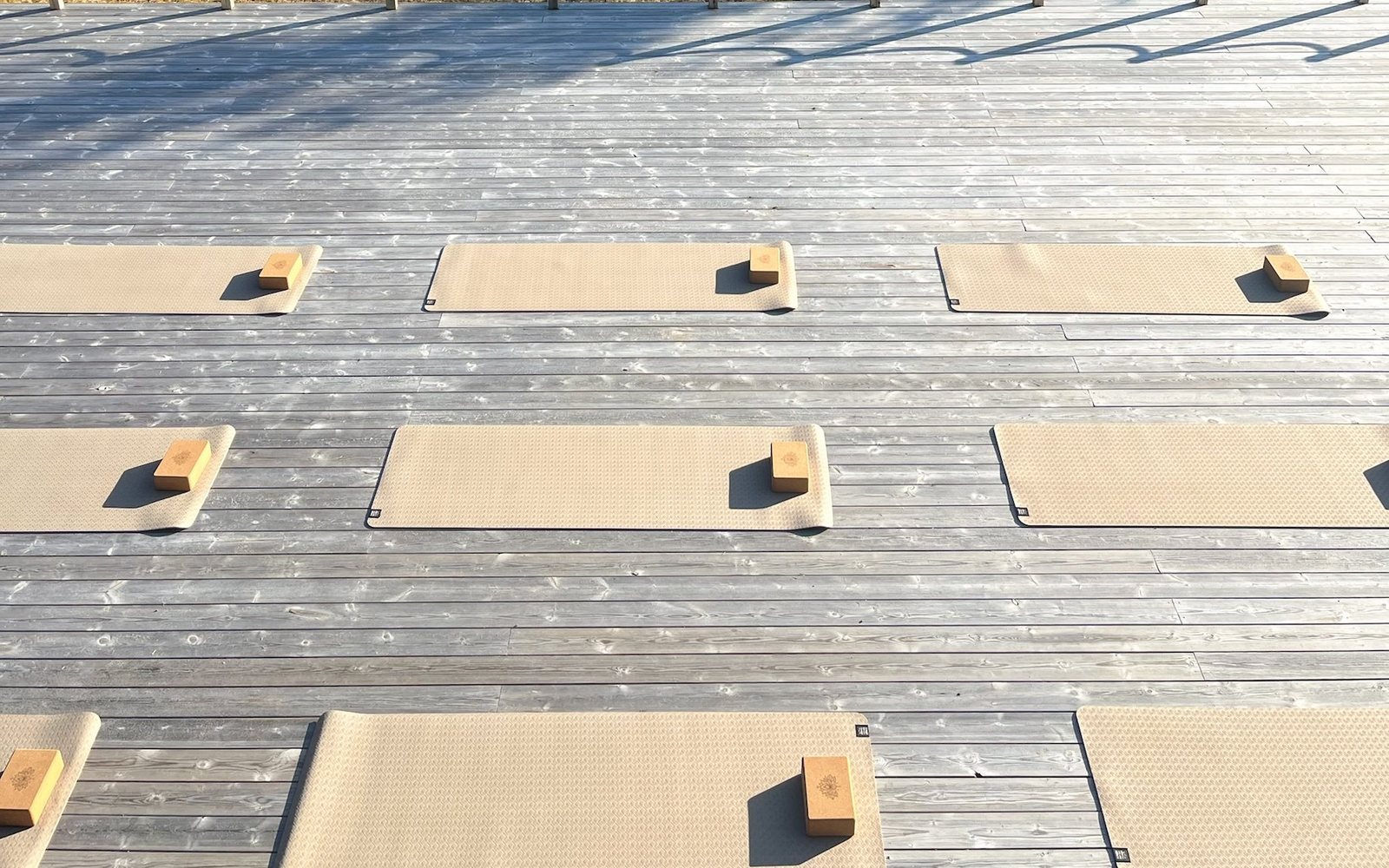 Mats laid out ready for a group class