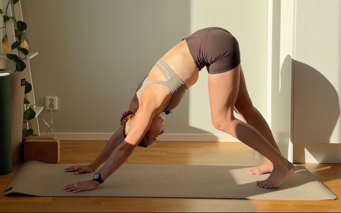 Camilla in downward dog in morning light