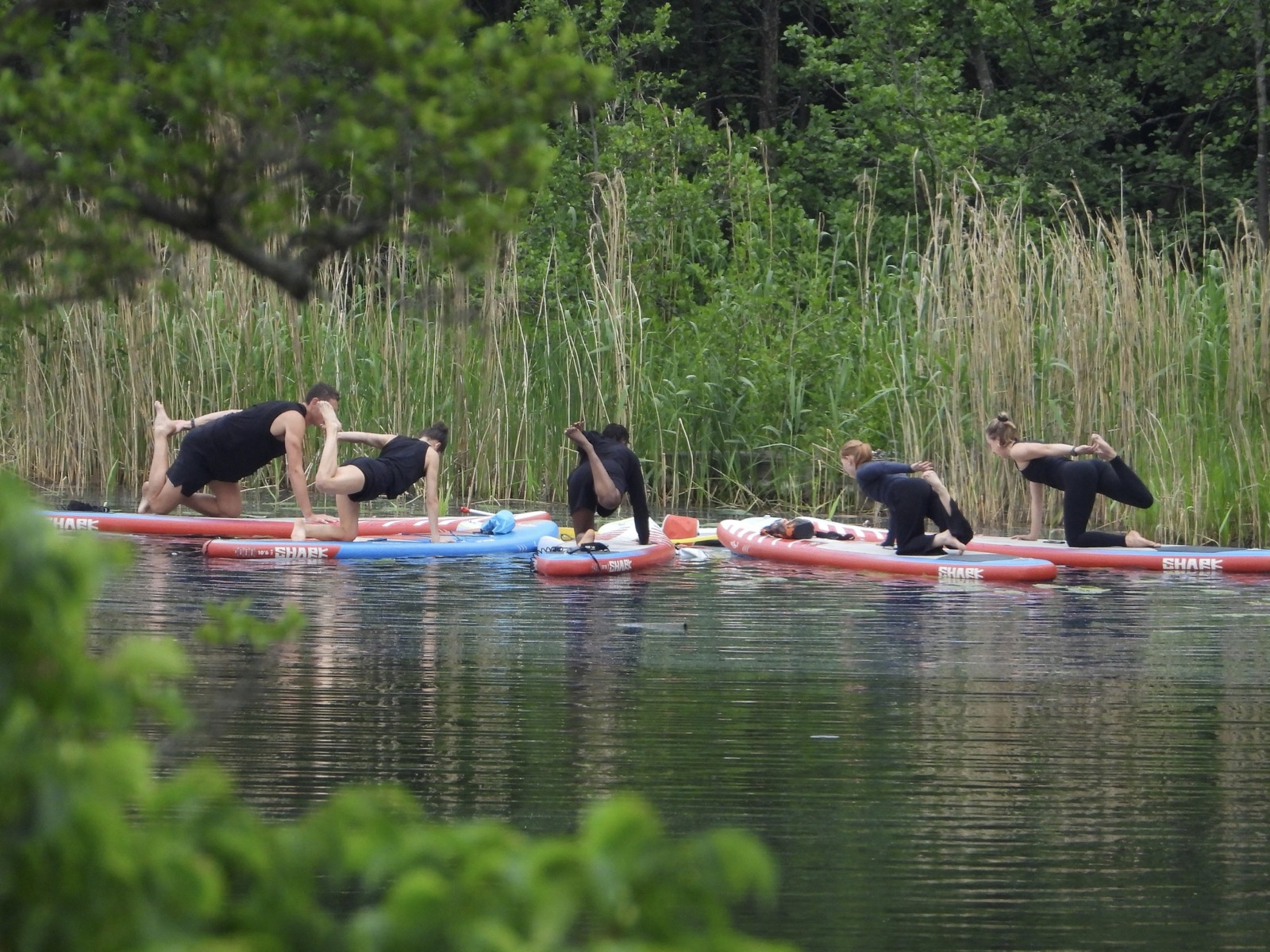 SUP yoga-klass på paddleboards vid Sickla Strand