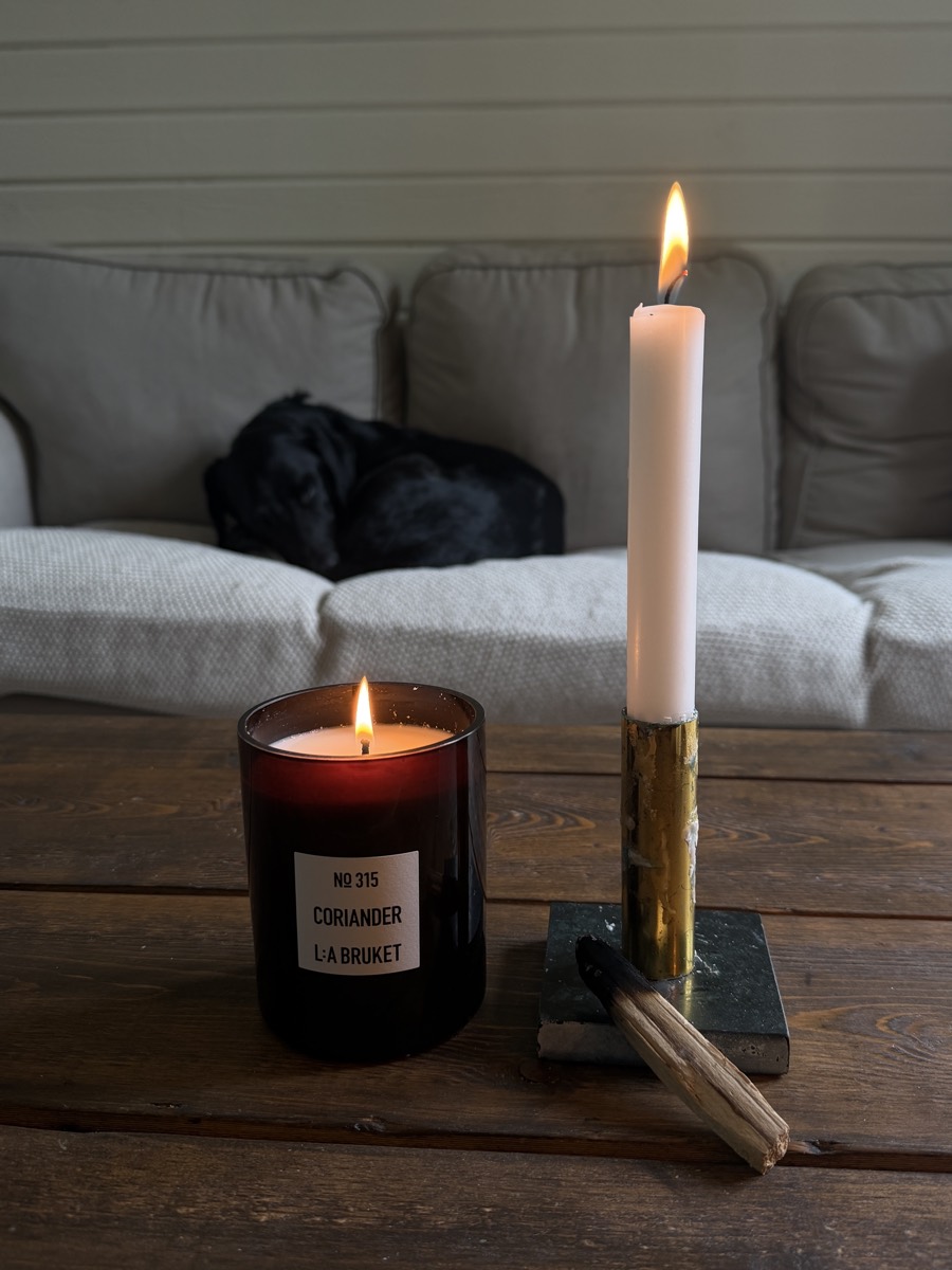 A lit Coriander scented candle and a tapered candle on a wooden table, with a dog resting on the sofa behind