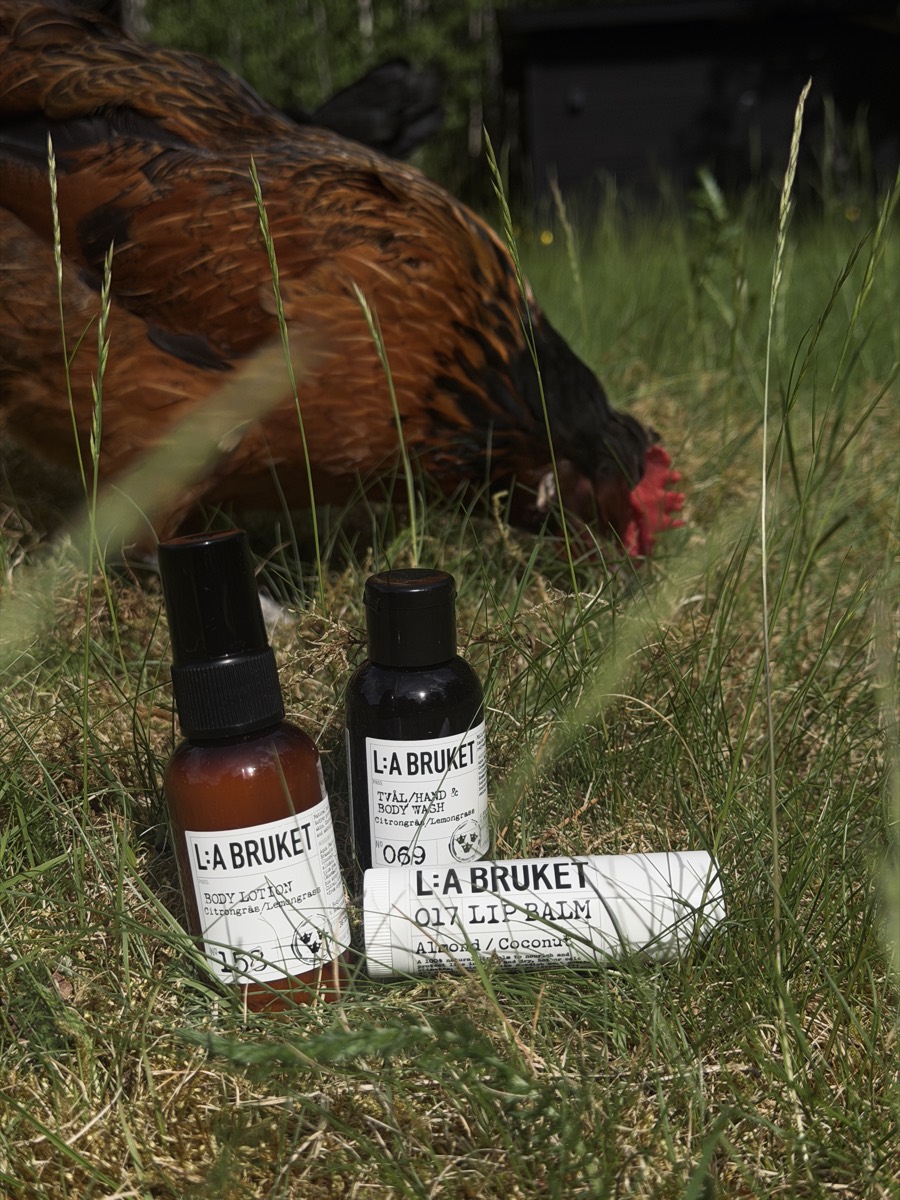 Body and lip care bottles in tall summer grass with a hen foraging behind