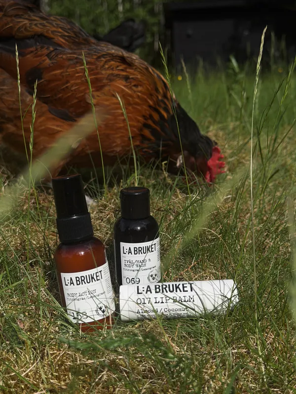 L:A Bruket body care bottles and lip balm in tall summer grass, with a hen foraging behind