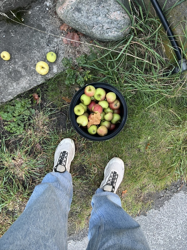 A bowl of freshly picked apples on the grass, seen from above
