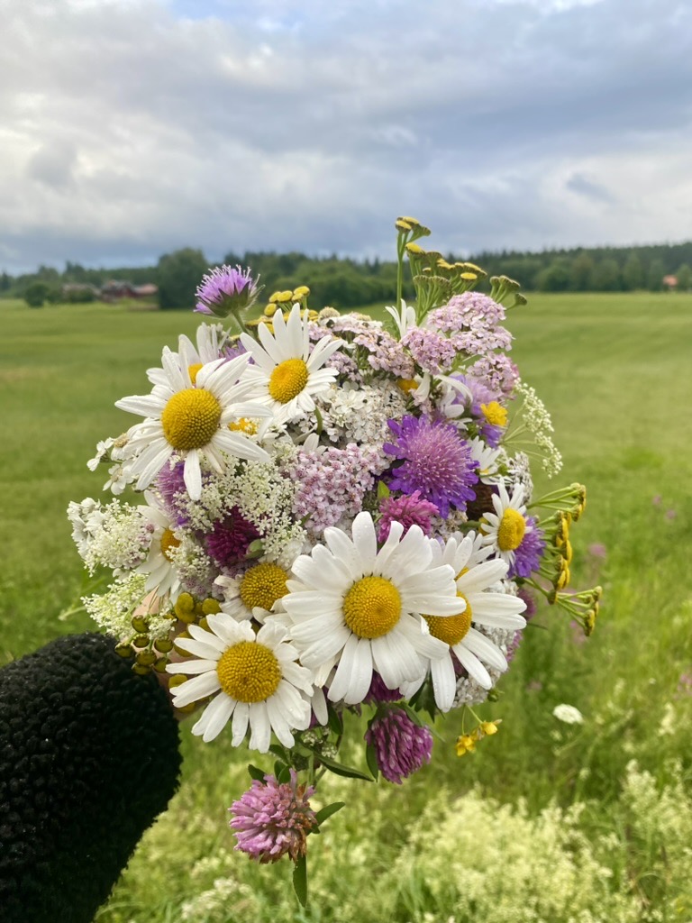 A hand holding a wildflower bouquet in a green Swedish meadow